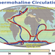 Thermohaline circulation belts in the ocean. Image: Wikimedia